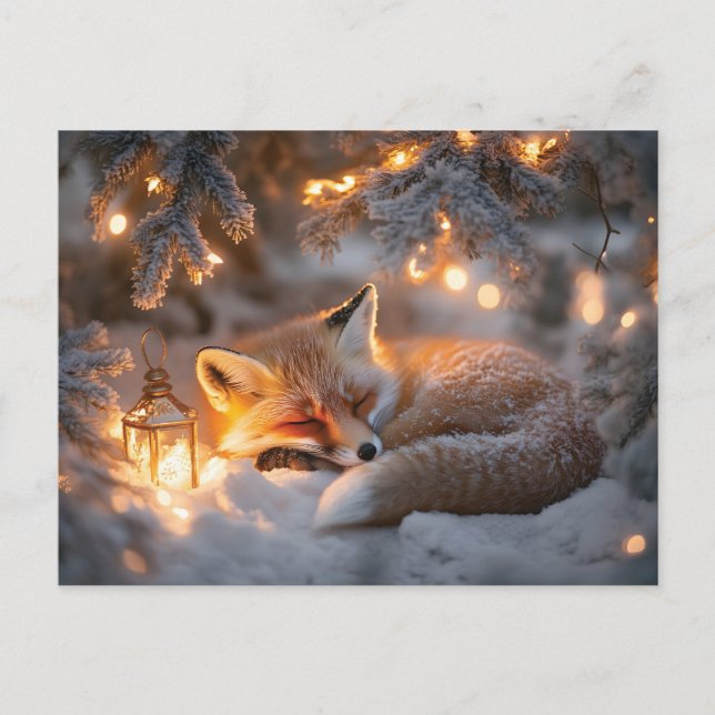 Cozy Sleeping Fox Under Snowy Branches  Postcard (Front)