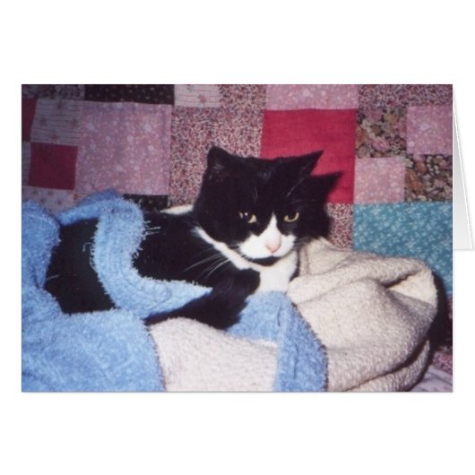 "Cozy Tiki" (Front Horizontal)