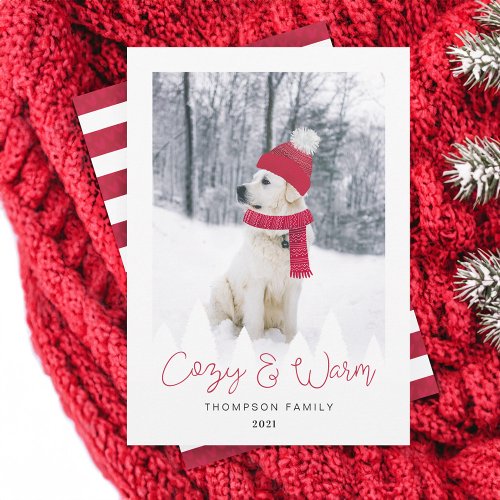 Cozy  Warm Family  Pet Photo Winter Hat  Scarf Holiday Card