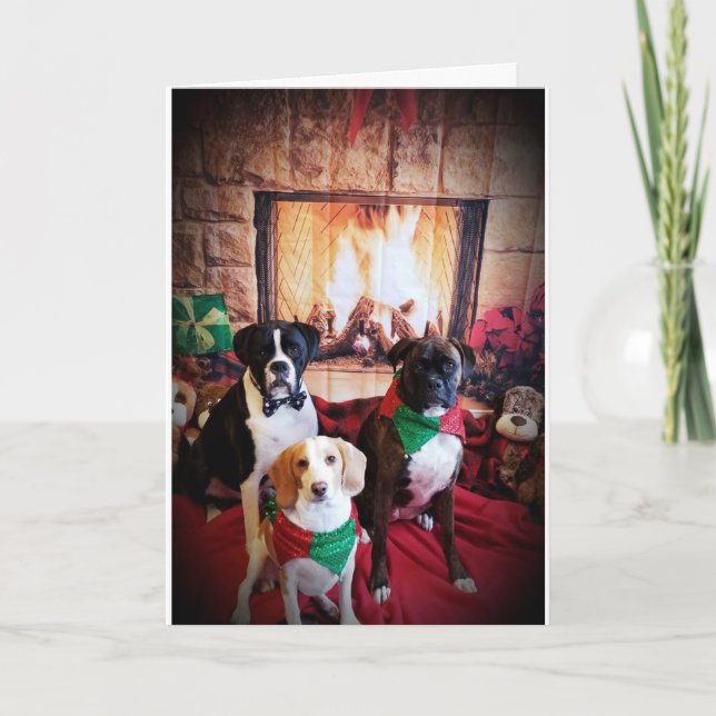 COZY/WARM MERRY CHRISTMAS / HAPPY NEW YEAR HOLIDAY CARD (Front)