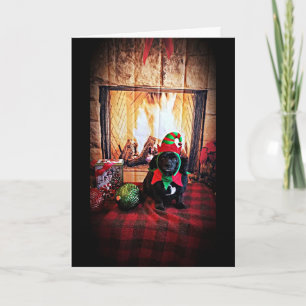 COZY/WARM MERRY CHRISTMAS / HAPPY NEW YEAR HOLIDAY CARD