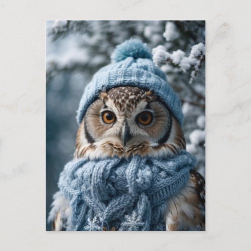 Cozy Whimsical Winter Wonderland Owl Postcard