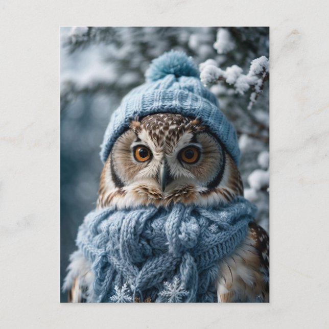 Cozy Whimsical Winter Wonderland Owl Postcard (Front)