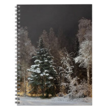 Cozy Winter Forest Night Scene