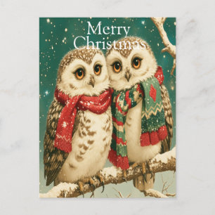 Cozy Winter Owls with Scarves Holiday Postcard