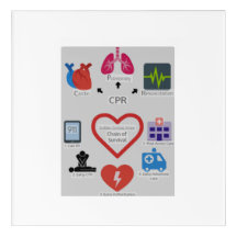 CPR CHAIN OF SURVIVAL 