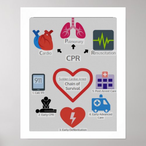 CPR CHAIN OF SURVIVAL  POSTER
