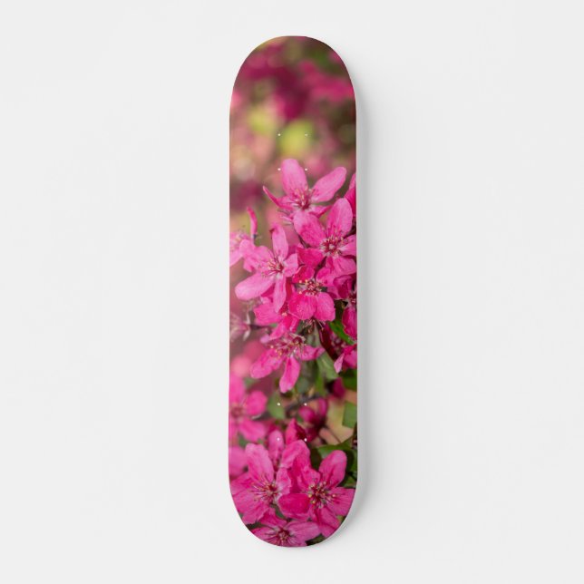 Crab Apple Blooms Skateboard Deck (Front)