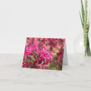 Crab Apple Blooms Thank You Card