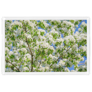Crab apple blossom acrylic tray