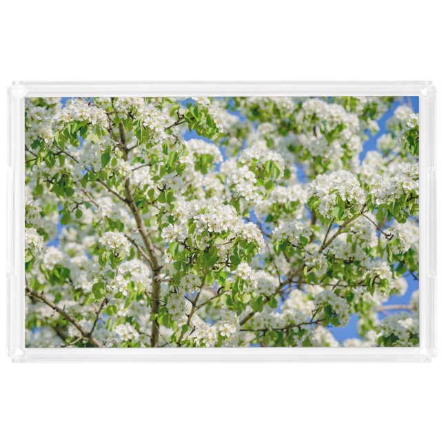 Crab apple blossom acrylic tray (Front)