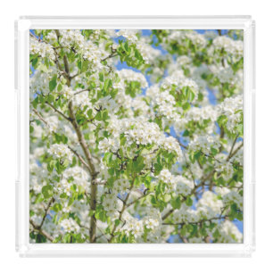 Crab apple blossom acrylic tray