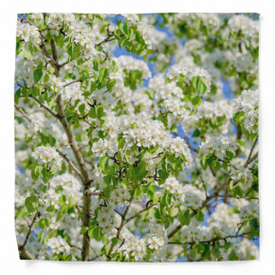 Crab apple blossom bandana
