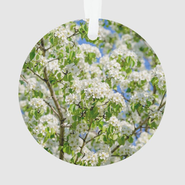 Crab apple blossom ornament (Back)