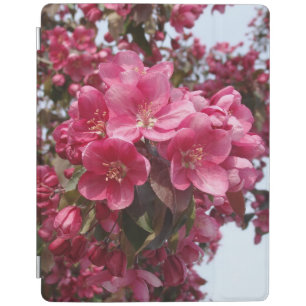 Crab Apple Blossoms iPad Smart Cover