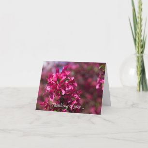 Crab Apple Shadows Thinking Of You Card