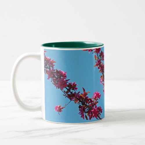 Crab Apple Tree Flowers Two_Tone Coffee Mug