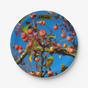 Crab Apples and Blue Sky Paper Plates