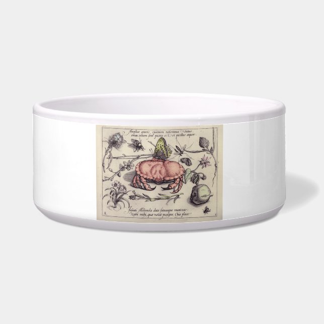Crab Botanical Insect Flower Illustration Bowl (Front)