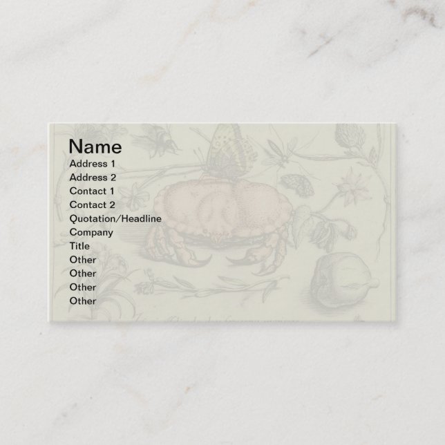 Crab Botanical Insect Flower Illustration Business Card (Front)