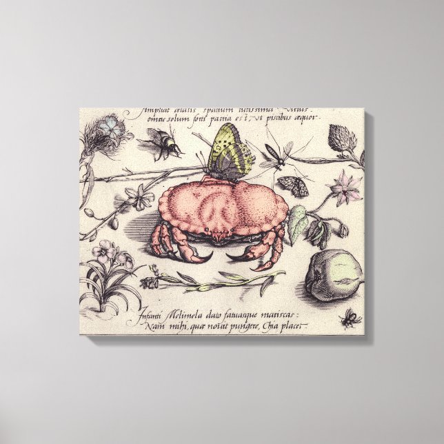 Crab Botanical Insect Flower Illustration Canvas Print (Front)