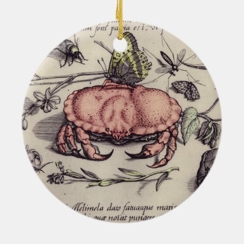 Crab Botanical Insect Flower Illustration Ceramic Ornament