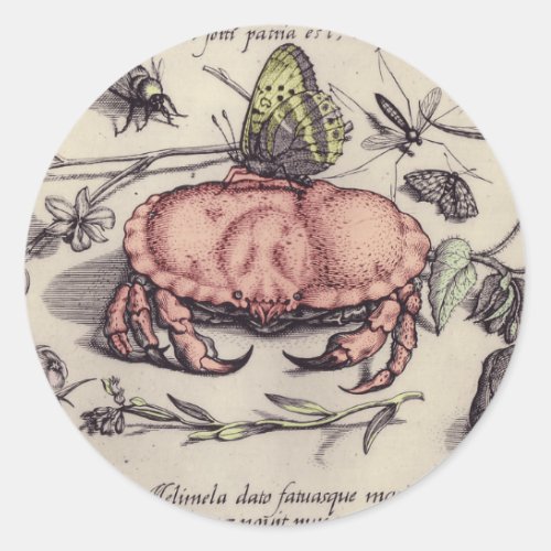 Crab Botanical Insect Flower Illustration Classic Round Sticker