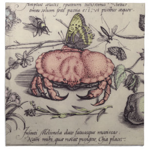 Crab Botanical Insect Flower Illustration Cloth Napkin