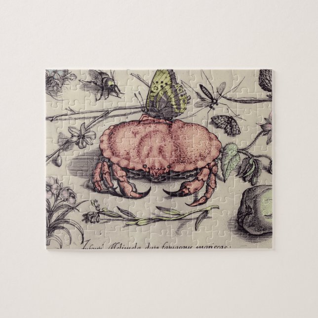 Crab Botanical Insect Flower Illustration Jigsaw Puzzle (Horizontal)