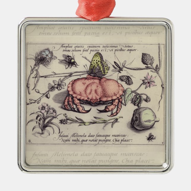 Crab Botanical Insect Flower Illustration Metal Ornament (Front)