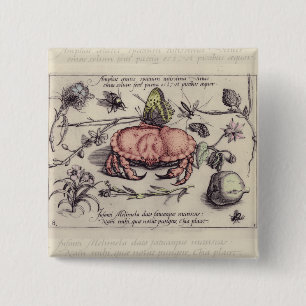 Crab Botanical Insect Flower Illustration Pinback Button