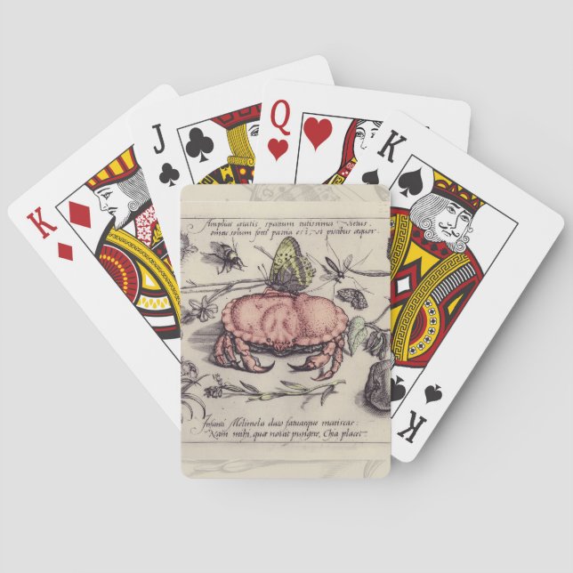 Crab Botanical Insect Flower Illustration Poker Cards (Back)