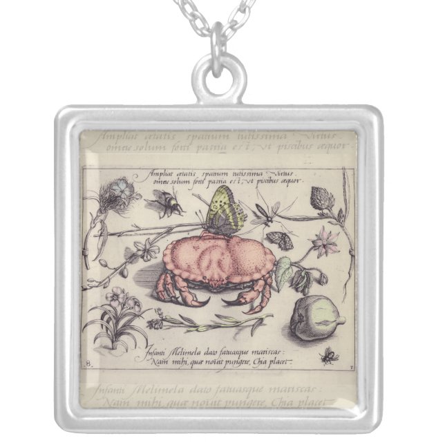 Crab Botanical Insect Flower Illustration Silver Plated Necklace (Front)