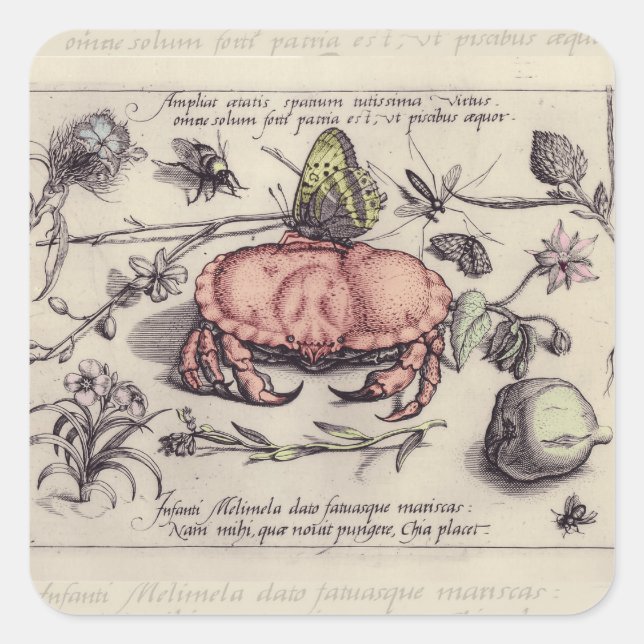 Crab Botanical Insect Flower Illustration Square Sticker (Front)