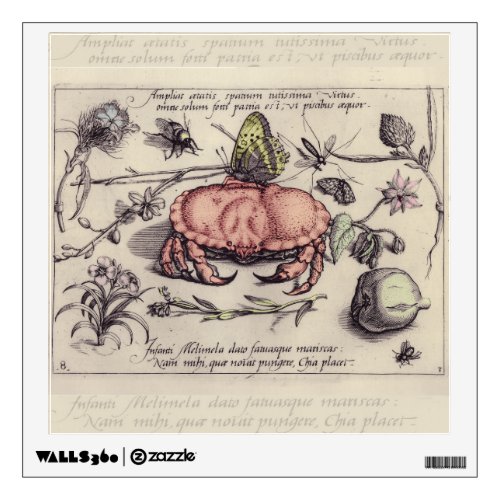 Crab Botanical Insect Flower Illustration Wall Sticker