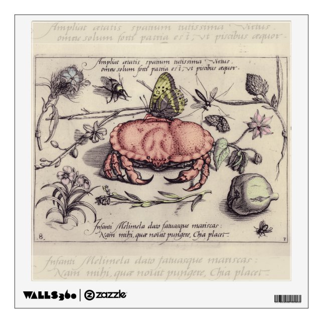 Crab Botanical Insect Flower Illustration Wall Sticker (Front)