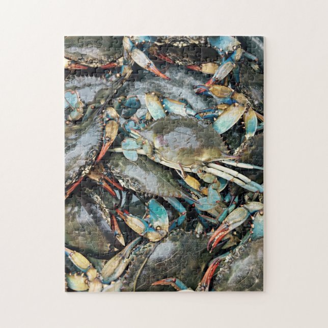 Crab Crawling Over Stone Shore Colorful Nature Sea Jigsaw Puzzle (Vertical)