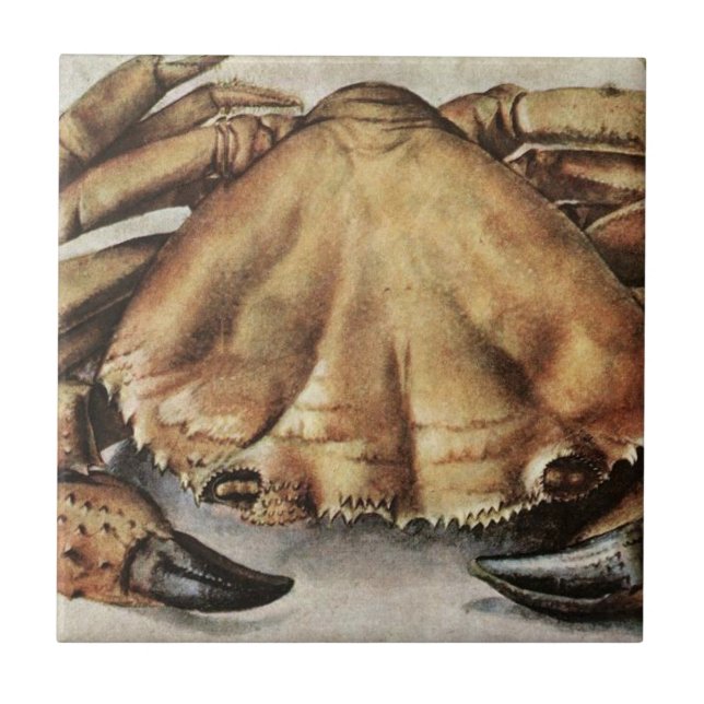 Crab (Creature Under the Sea) (by Albrecht Durer) Ceramic Tile (Front)