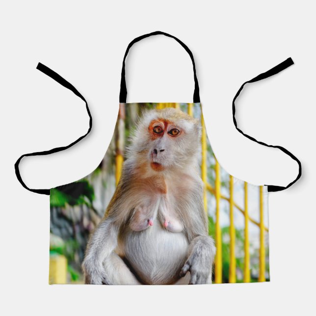 Crab-eating macaque apron (Front)