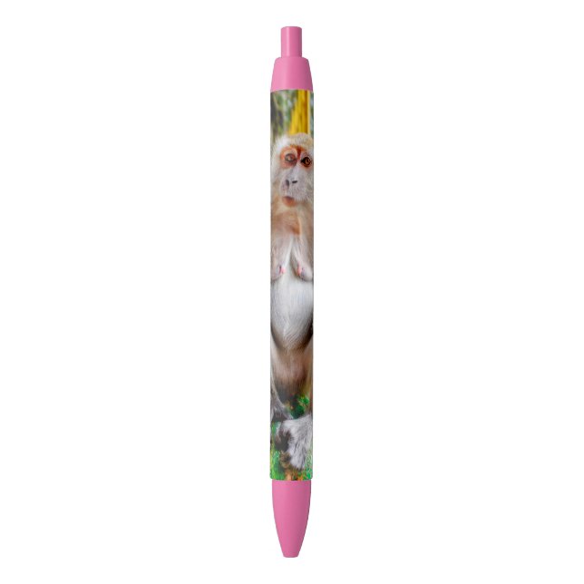 Crab-eating macaque pen (Front Vertical)