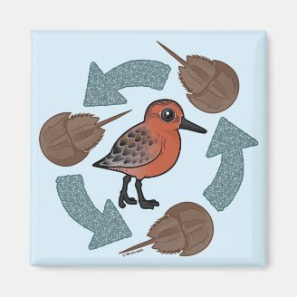 Crab-Knot Cycle Square Magnet
