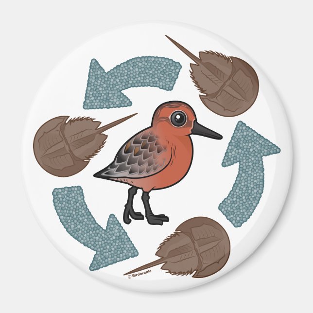 Crab-Knot Cycle Magnet (Front)