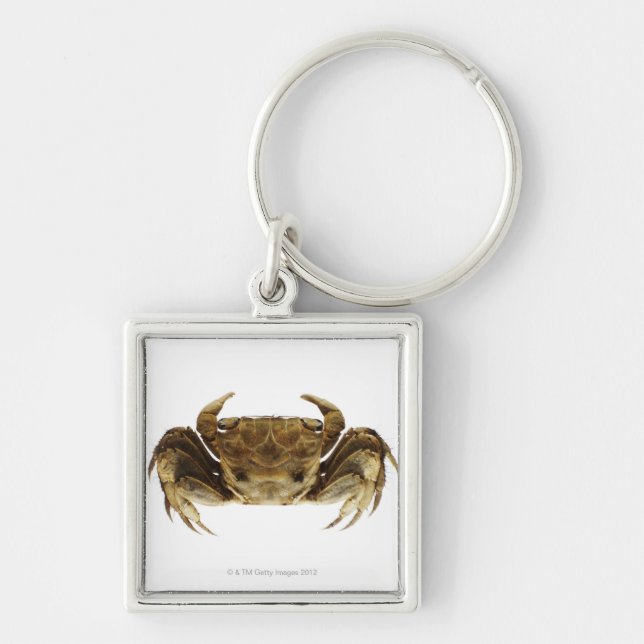 Crab on white background keychain (Front)