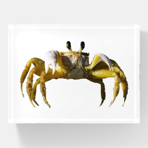 Crab Paperweight