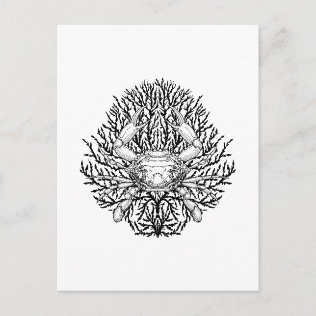 Crab Postcard (Front)