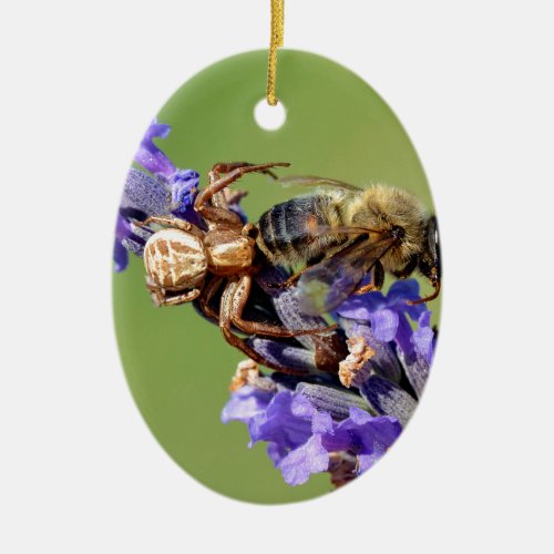 Crab spider eating bee ceramic ornament