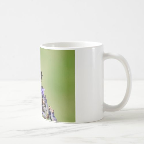 Crab spider eating bee coffee mug