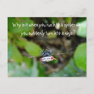 Crab Spider Postcard / Funny Ninja Quote