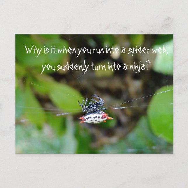 Crab Spider Postcard / Funny Ninja Quote (Front)