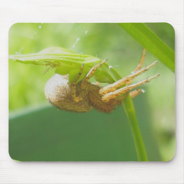 Crab Spider Thomisid Mousepad (Front)
